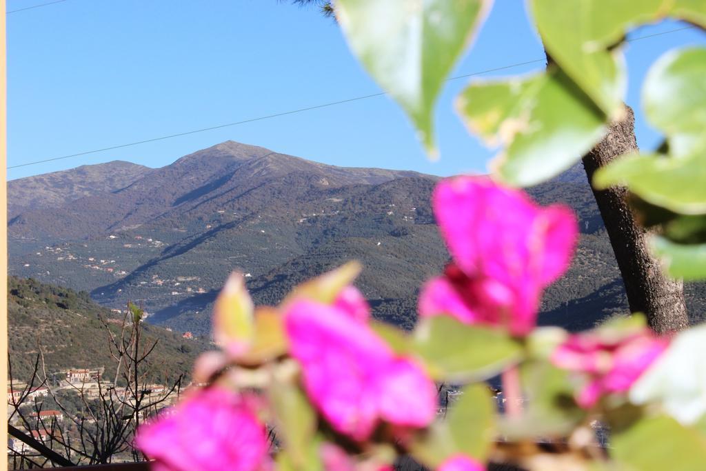 Tenuta Domine Imperia Zimmer foto